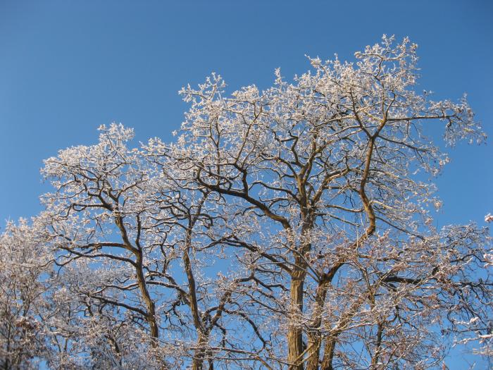 Winterspaziergang