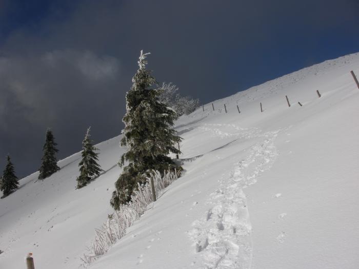 Aufstieg zum Belchen im Schwarzwald