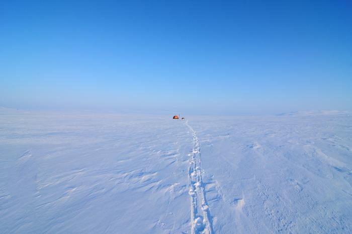 Nordmannslågen