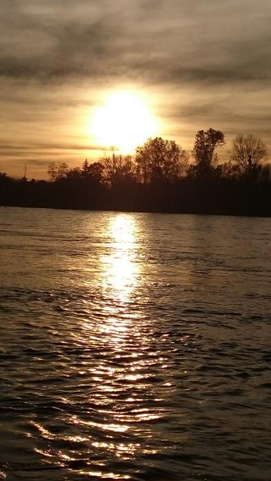 Sonnenuntergang am Rhein