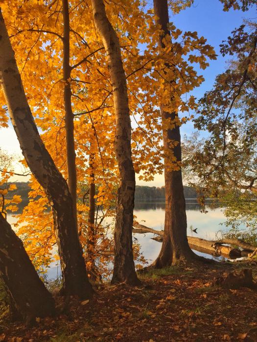 Farben im Herbst