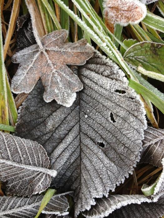 Herbstzeit