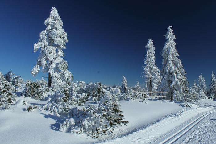 Winterlandschaft