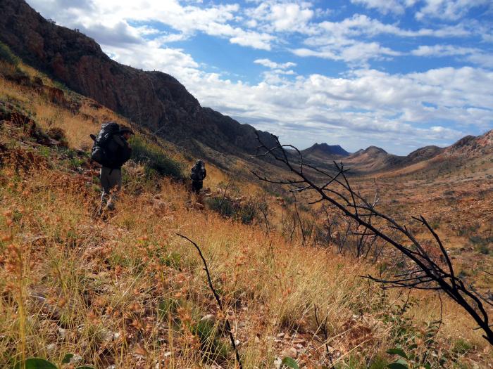 Wandern auf dem Larapinta Trail