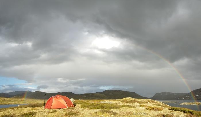 Hochsommer in  Norwegen