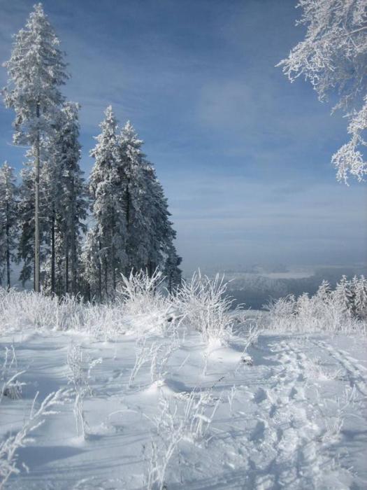 Unterwegs auf Schneeschuhen