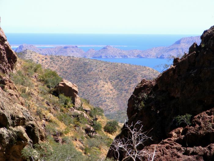 Blick auf die See von Cortez