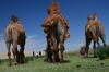 Drei Kamele in der Wüste Gobi