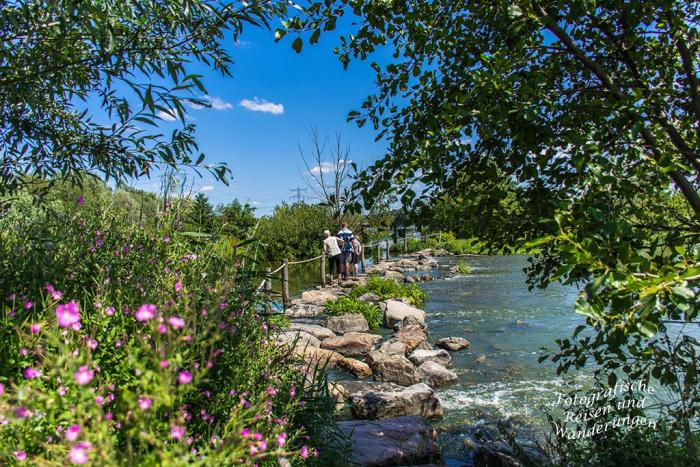 Sommer am Molenplas