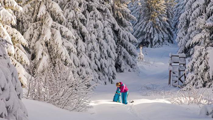 Walking in the Winter Wonderland