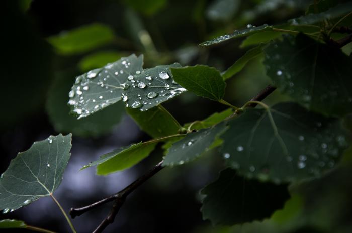 Raindrops on my skin