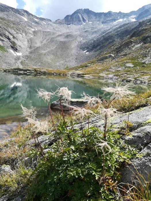 Wildgerlossee