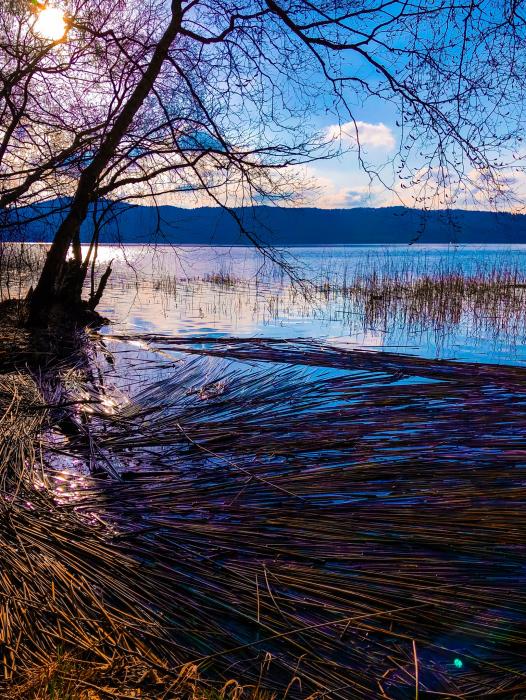 Laacher See