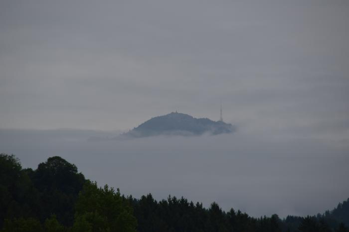 Wächter des Allgäu im nebel