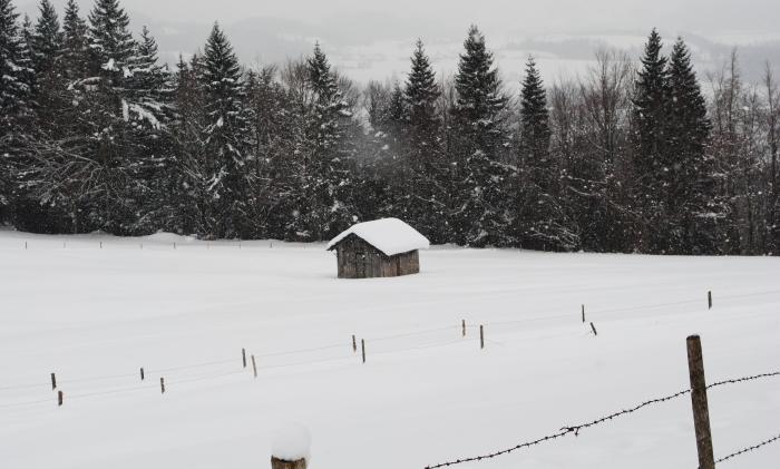 WINTER AM GRÜNTEN