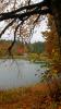 Herbst im Harz