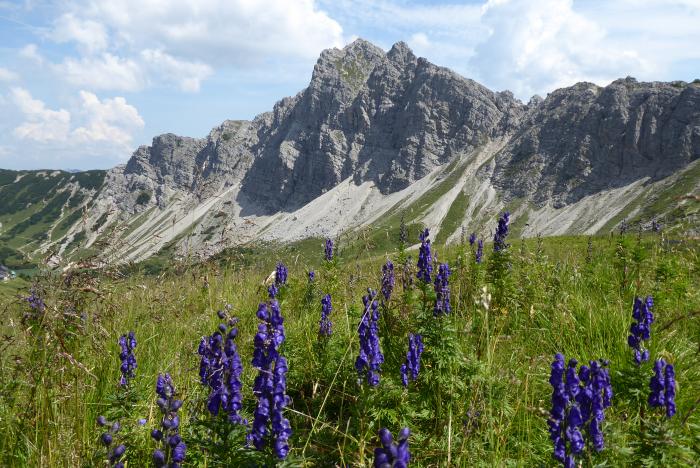 Allgäuer Bergwelt