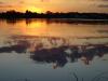 Abenstimmung an der Wittenberger Elbe