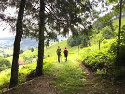 Wandern auf dem Belchen