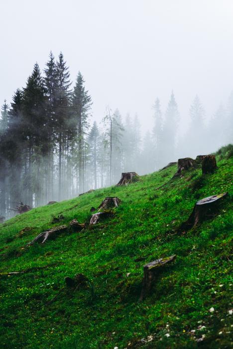 Nationalpark Berchtesgaden