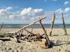 Sonnen im Herbst am Wilden Ostrand der Halbinsel Darß, Ostsee