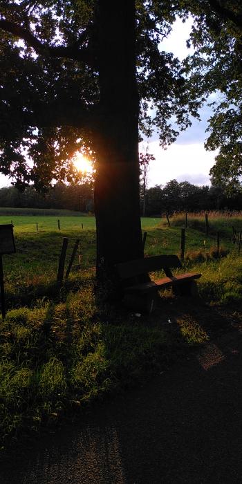 Die Bank bei Sonnenuntergang