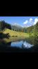 Moorsee mit dem Wilden Kaiser