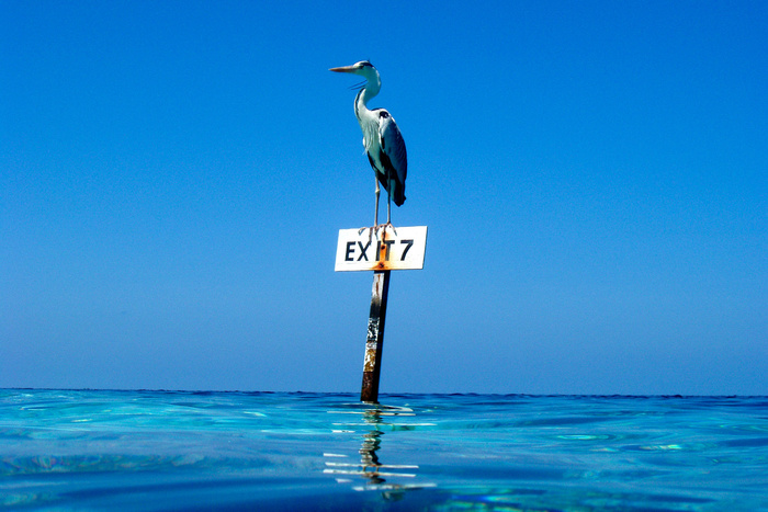 Exit 7