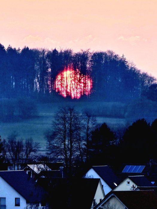 Feuerball im Wald