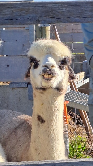 Was guckst du?