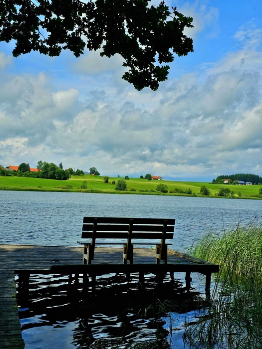 Idylle am Weiher