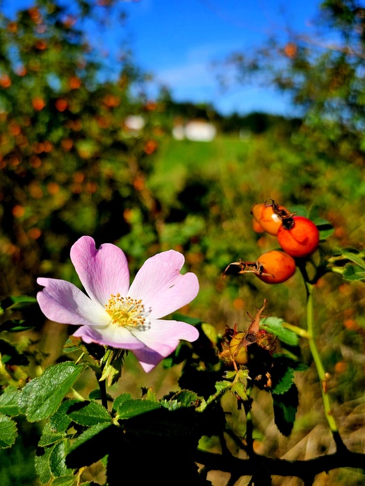 Jugend und Alter