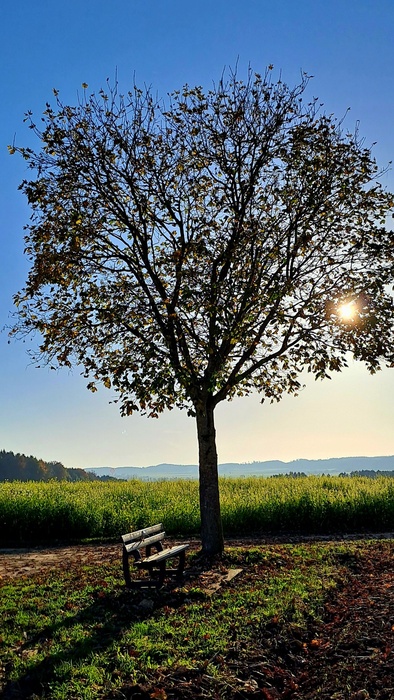 In der Ruhel liegt die Kraft