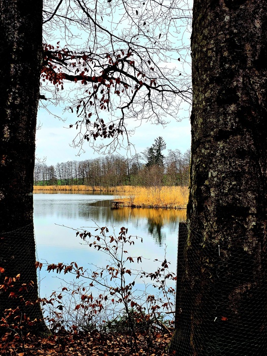 Blick durch das Baumfenster