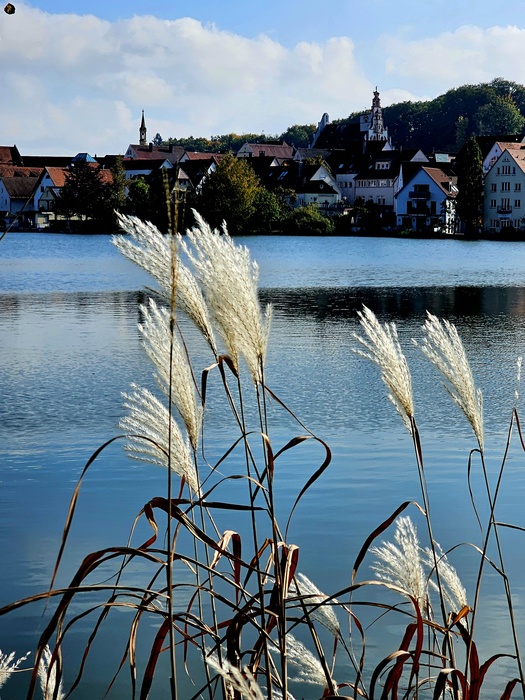 Herbst am Stadtsee
