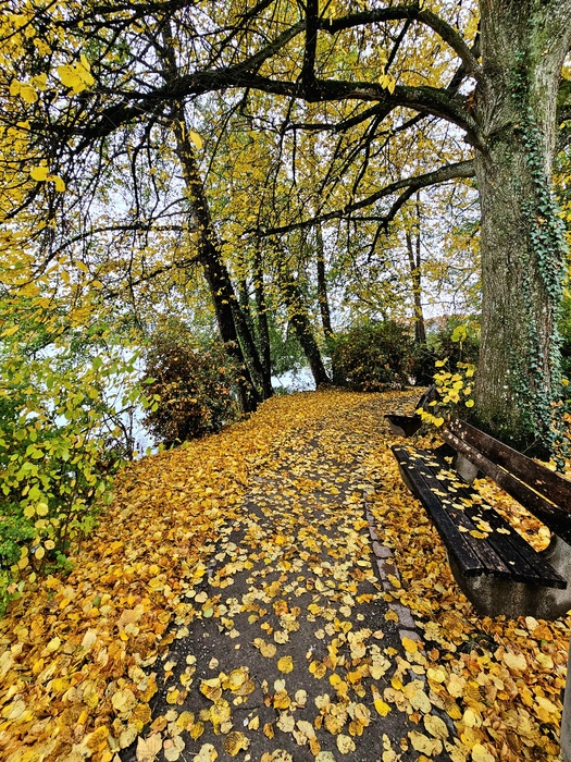 Der Herbst ist da